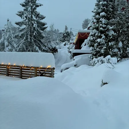 Lägenhet Free Parking Bergen