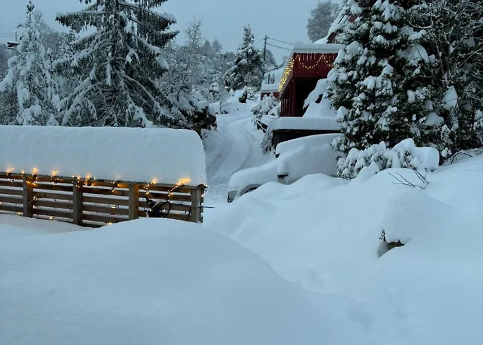 Lägenhet Free Parking Bergen
