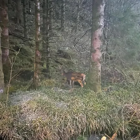 Free Parking Leilighet