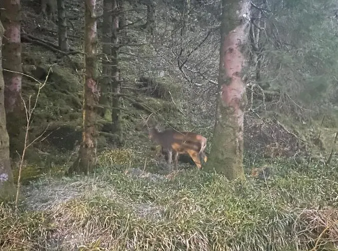 Free Parking Apartment